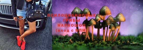 мет Нея