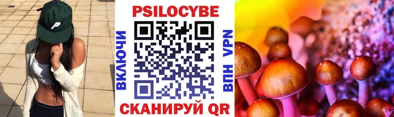 как найти   Тетюши  Псилоцибиновые грибы ЛСД 