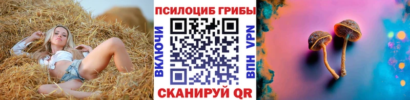 Галлюциногенные грибы мухоморы Тетюши